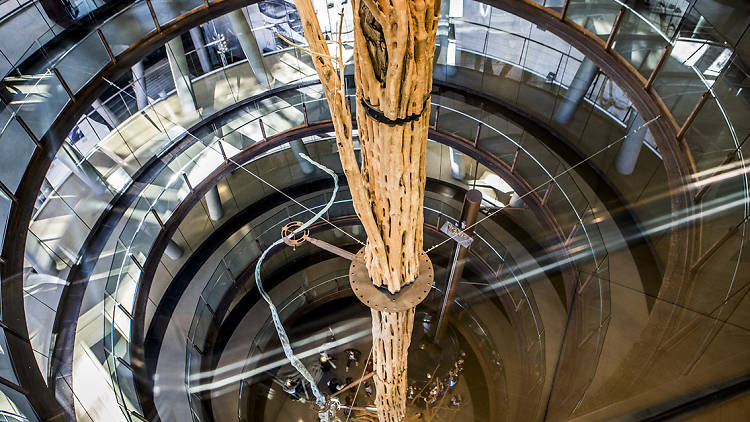 Arbre de CosmoCaixa