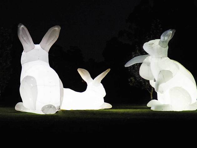 Intromisión, de Amanda Parer Intromisión, de Amanda Parer