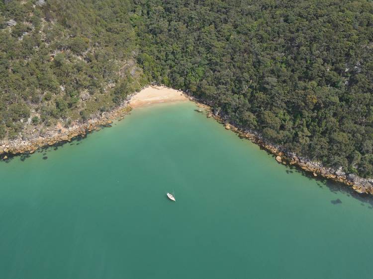 Book a scenic flight with Sydney Seaplanes