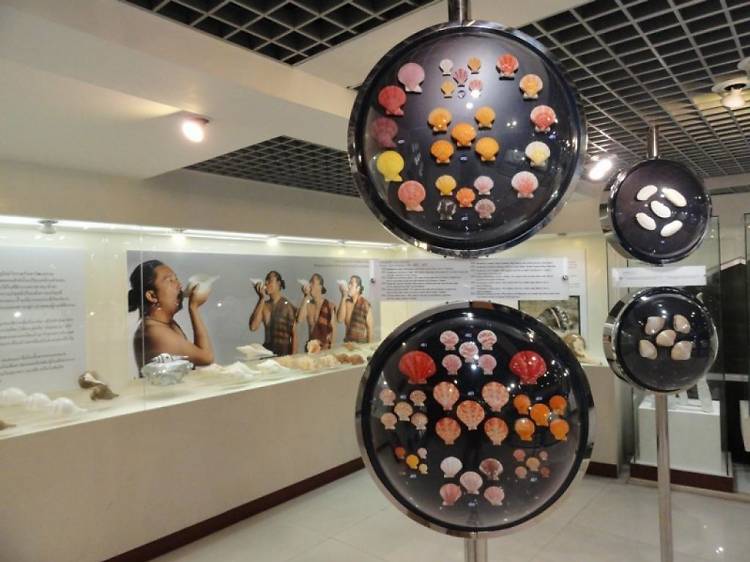 Bangkok Sea Shell Museum
