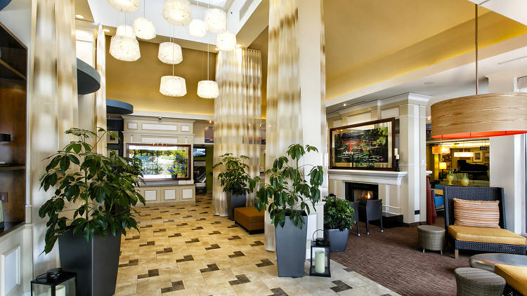 Hilton Garden Inn New York/Staten Island 