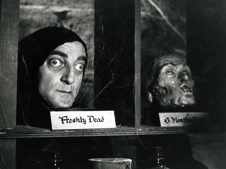 Young Frankenstein (1974)