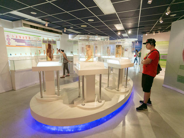 Siriraj Medical Museum Siriraj Medical Museum