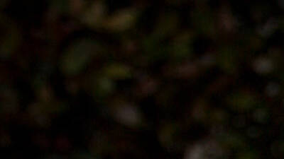 The Shop Cafe The Shop Cafe