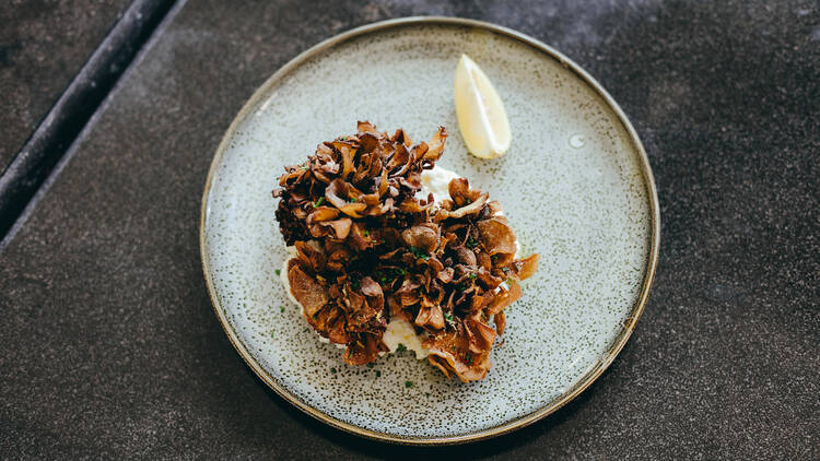 Maitake mushroom at Mardi