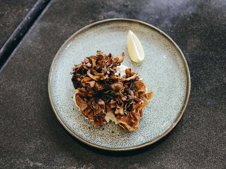 Maitake mushroom at Mardi