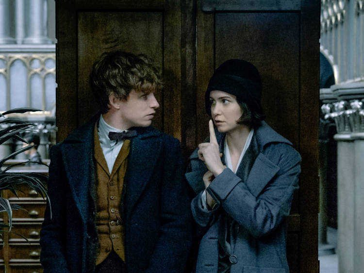 Eddie Redmayne and Katerine Waterson in Fantastic Beasts and Where to Find Them