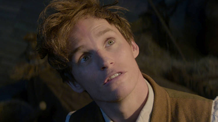 Eddie Redmayne in Fantastic Beasts