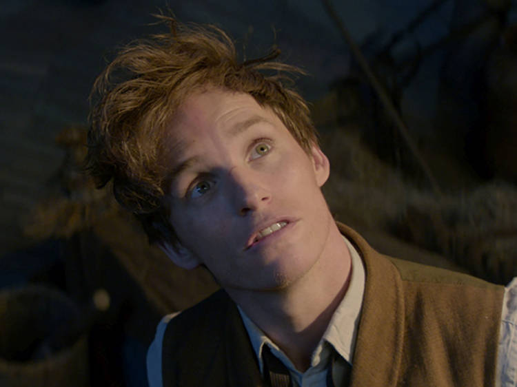 Eddie Redmayne in Fantastic Beasts