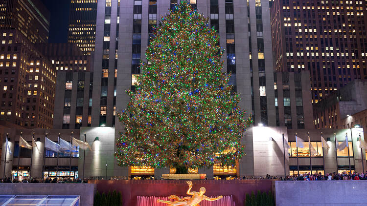 The Rockefeller Center Christmas Tree