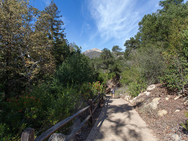 Santa Barbara Botanic Garden Attractions In Santa Barbara Los