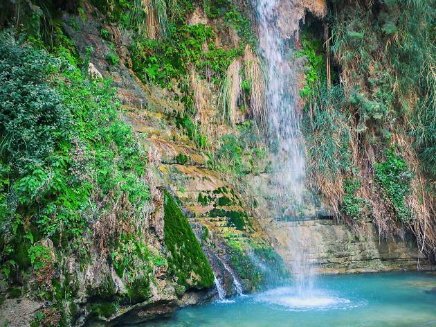 Nachal David Stream Nachal David Stream