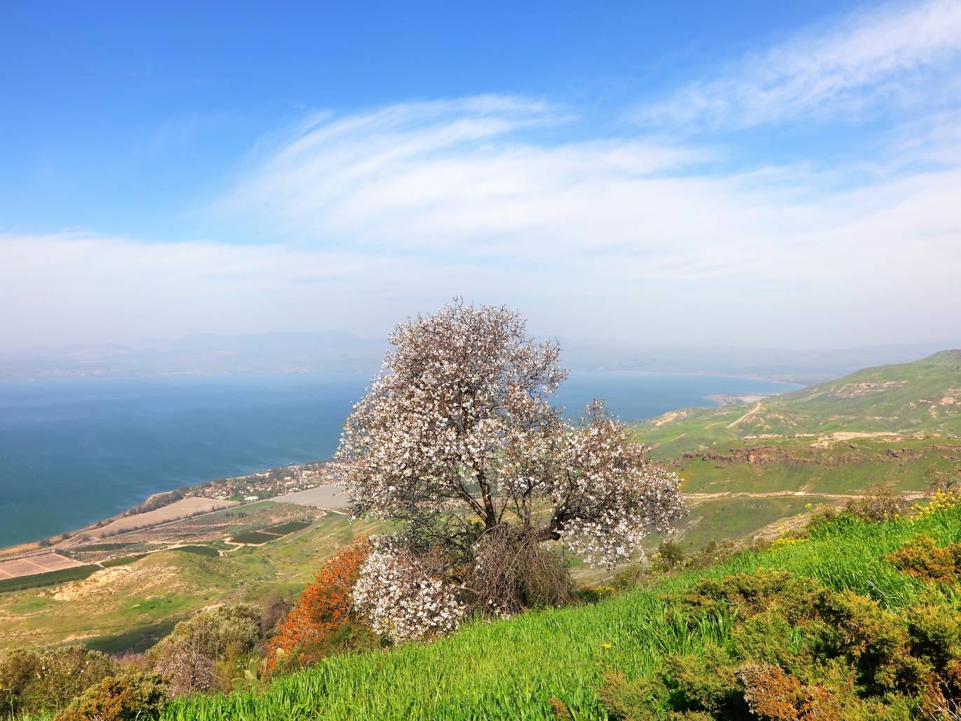Sea of Galilee beaches and sites from Tiberias to the Kinneret