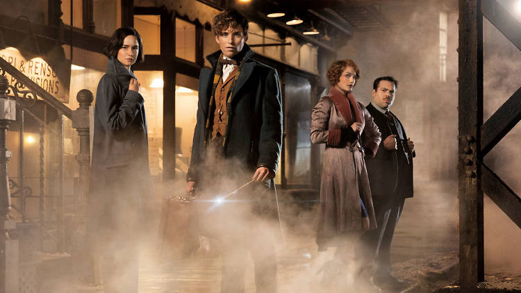 Fantastic Beasts and Where to Find Them