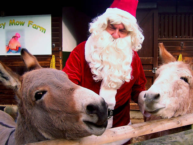 Santa at Battersea Park Children's Zoo Santa at Battersea Park Children's Zoo