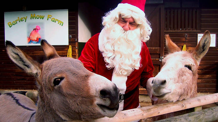 Santa at Battersea Park Children's Zoo