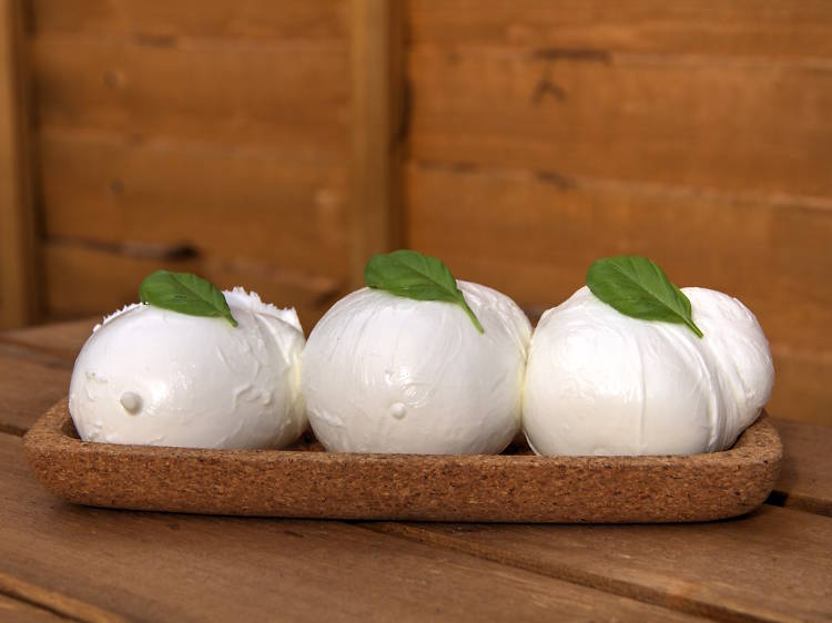 Taste the best mozzarella on a food tour of Arthur Avenue