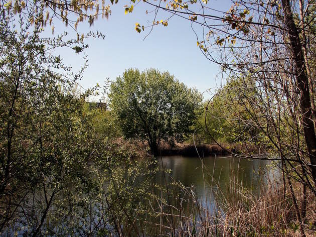 Alley Pond Park Alley Pond Park