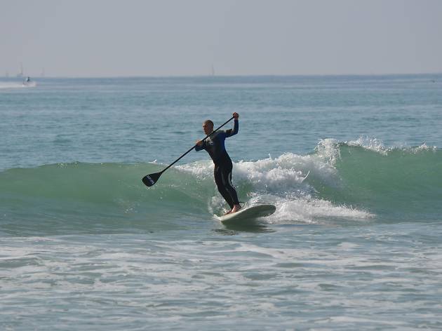 Padle Surf Padle Surf