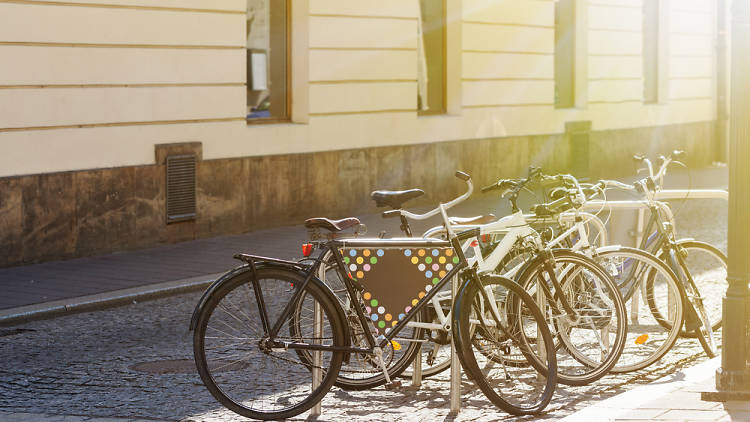 Para descubrir la ciudad y disfrutar del buen tiempo