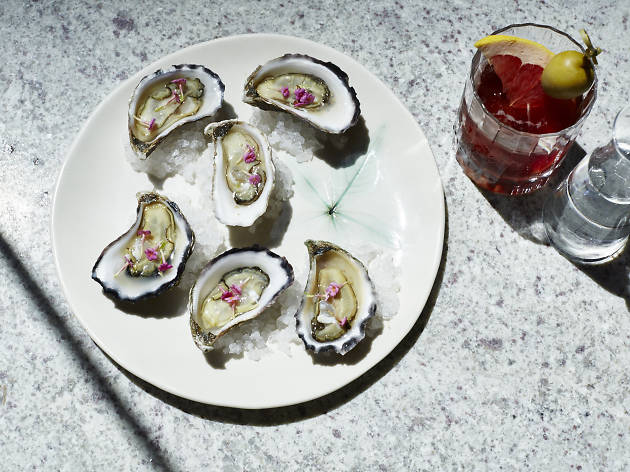 rock oysters at Banksii Rock oysters at Banksii