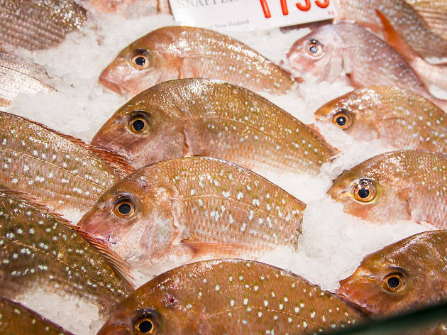 Sydney Fish Market Sydney Fish Market