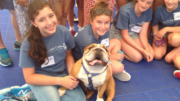 Kids at vet camp 