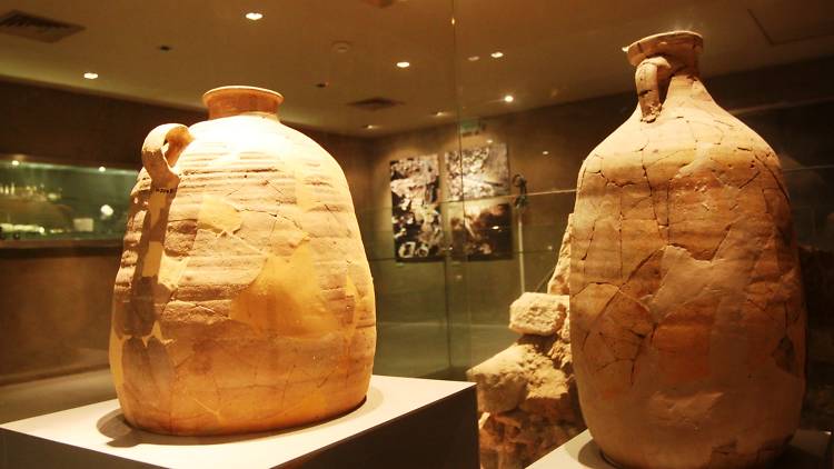 Wohl Archaeological Museum