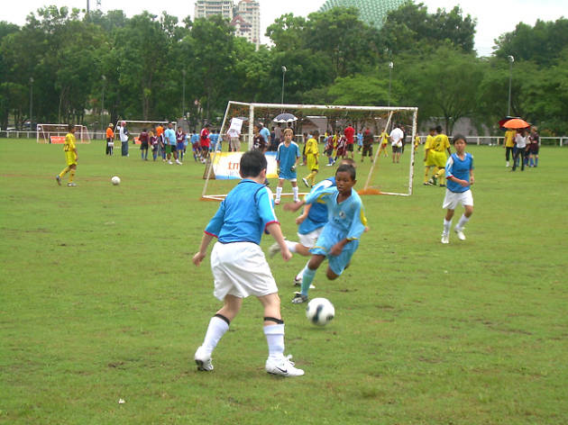Little League Football Camp Little League Football Camp
