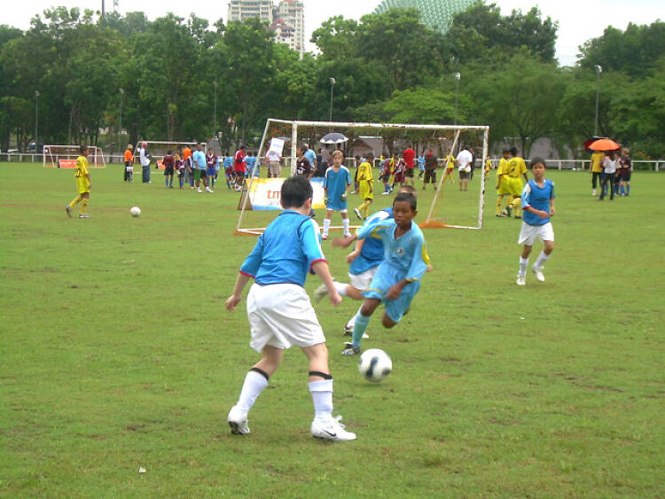 Little League Football Camp