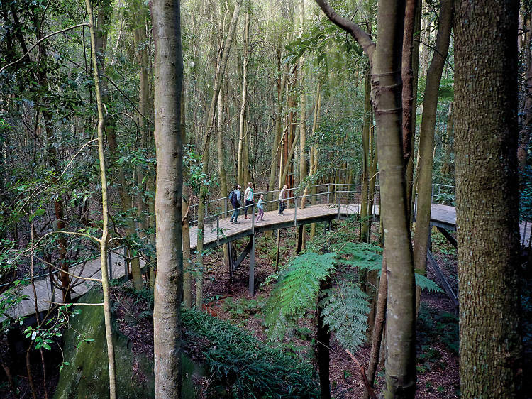 Scenic Walkway