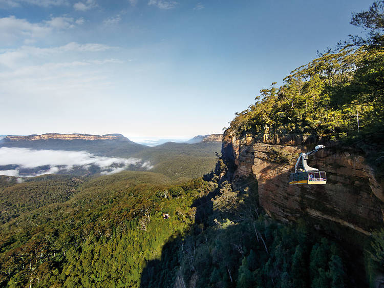 Scenic Cableway