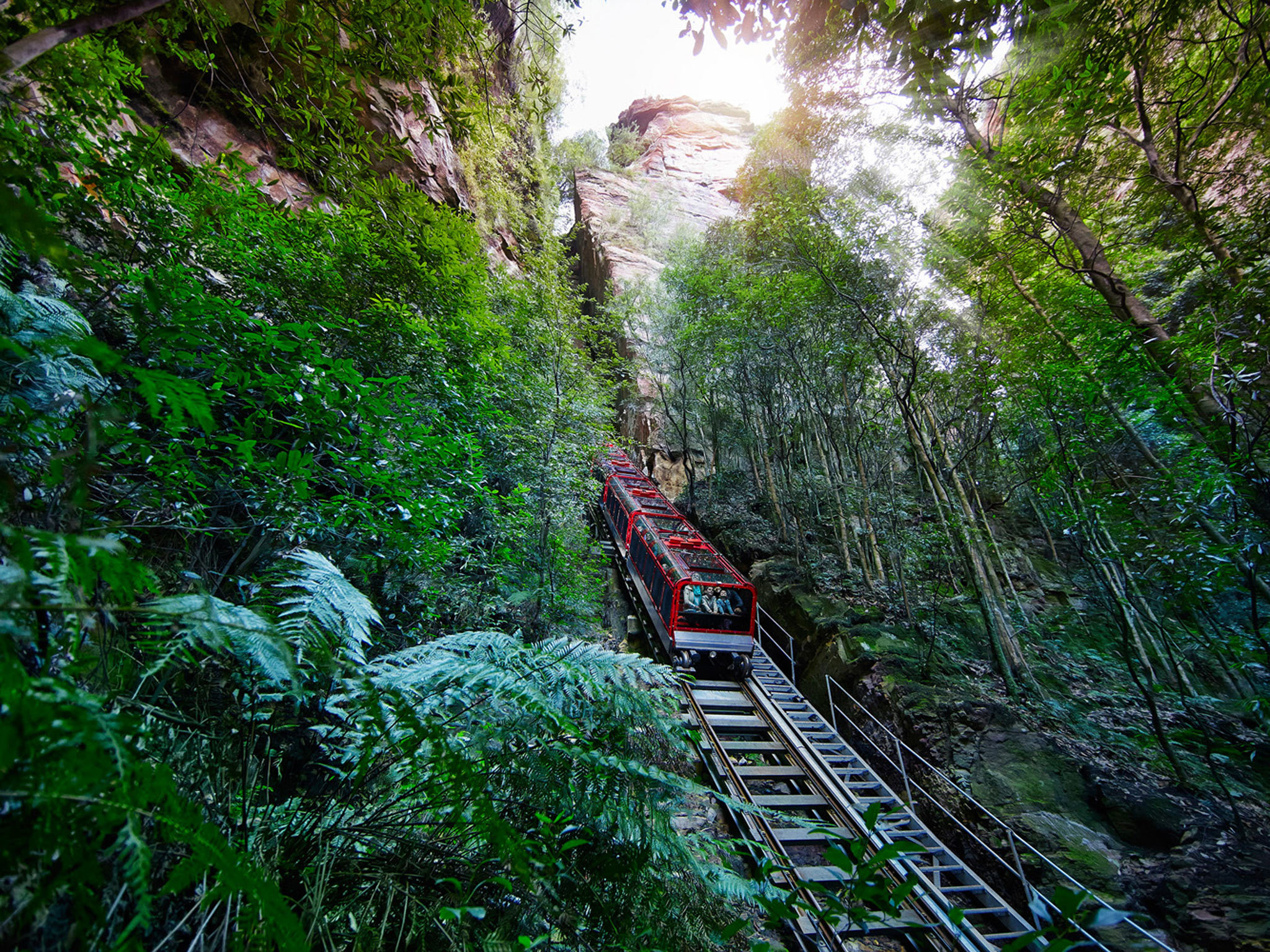 A sensational summer at Scenic World