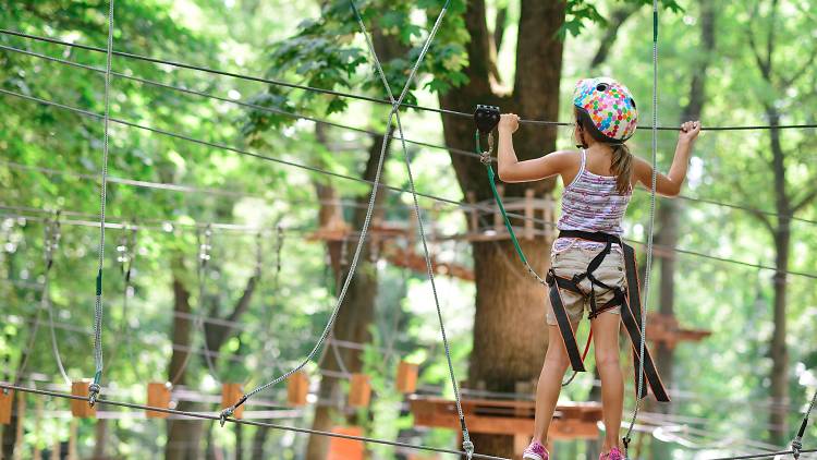 Ropes course