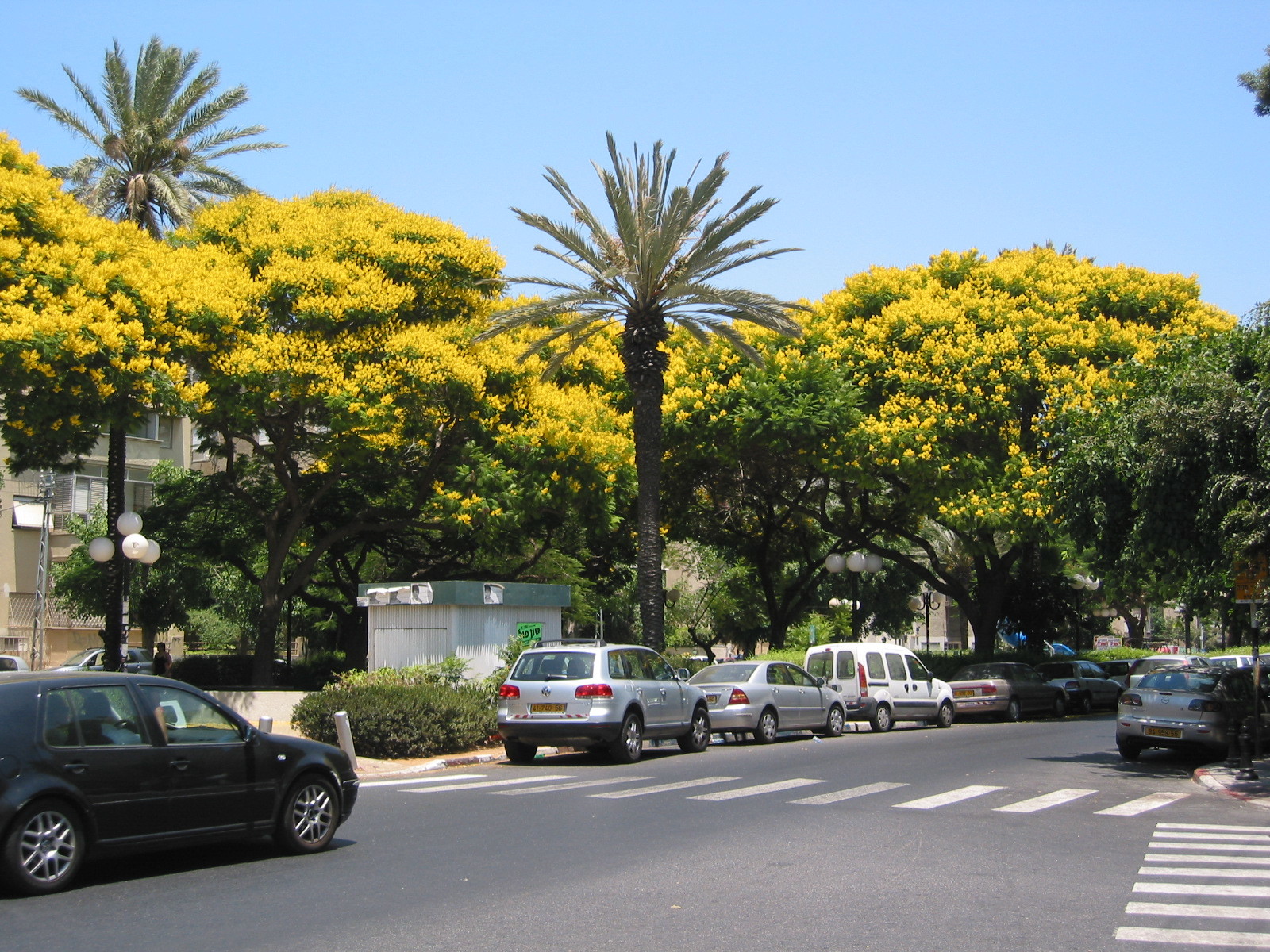 Kikar Masaryk Shopping in Tel Aviv City Center, Israel