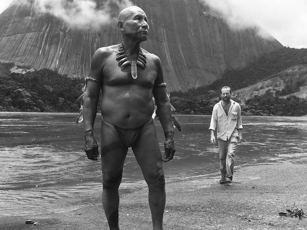 embrace of the serpent embrace of the serpent