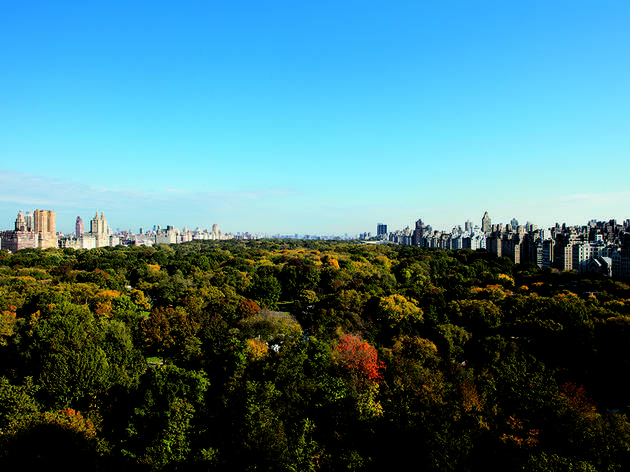 The Ritz-Carlton New York, Central Park | Hotels in Midtown West, New York