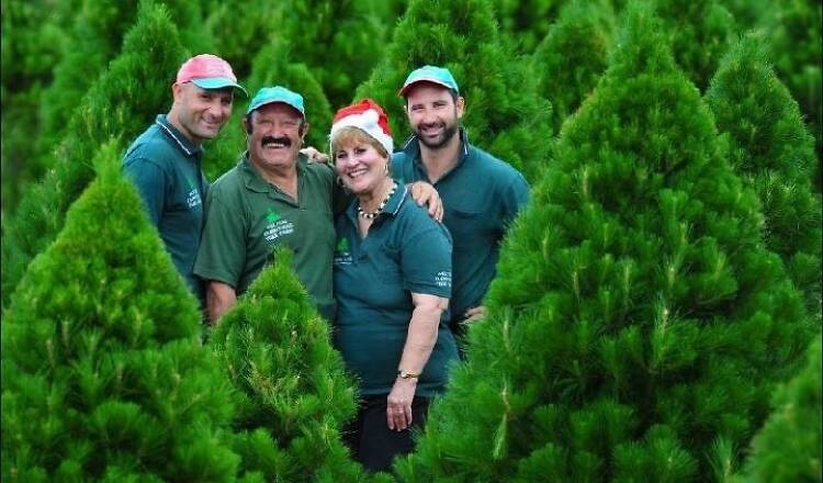 Melbourne Christmas Tree Farm