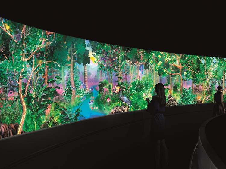 Story of a Forest, National Museum Singapore, teamLab