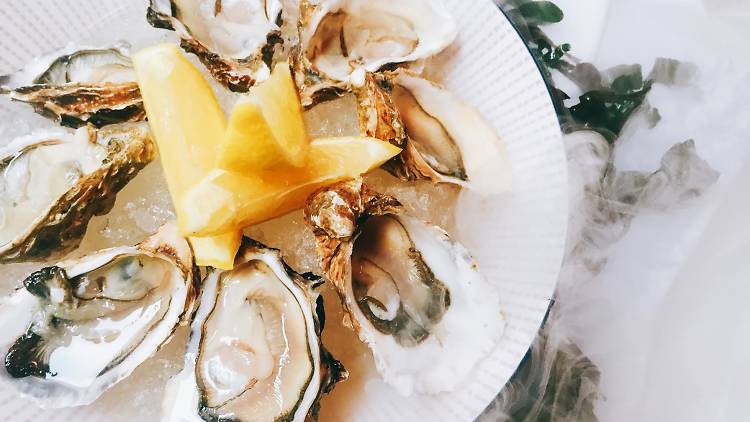 Oysters at Scarlett Wine Bar and Café Hong Kong