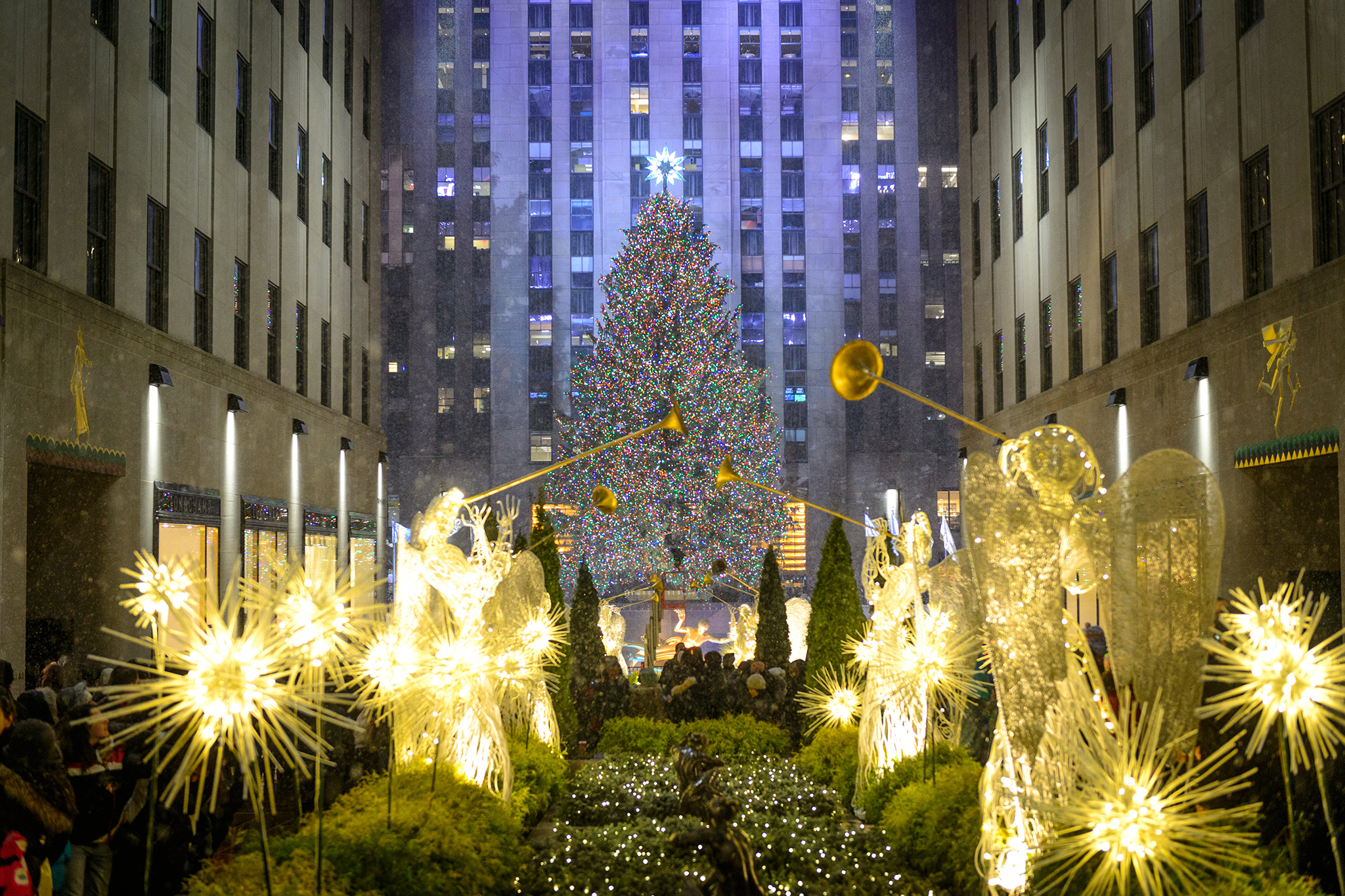 Best pictures of Christmas in New York including Christmas lights