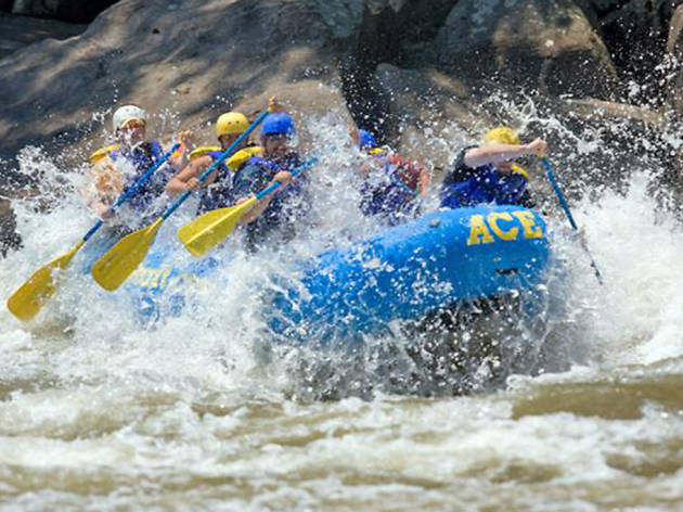 Ace Adventure Center Ace Adventure Center