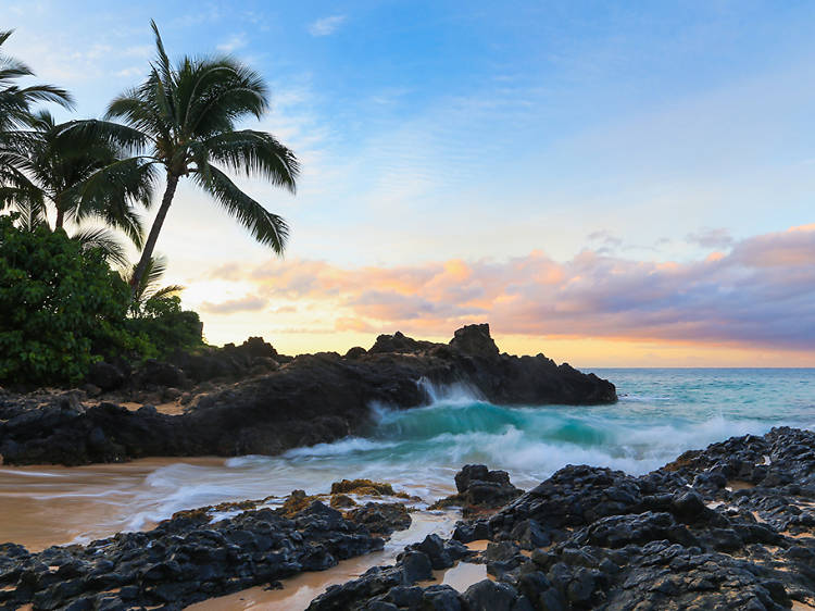 The best USA travel destinations for every month of 2026 The best USA travel destinations for every month of 2026