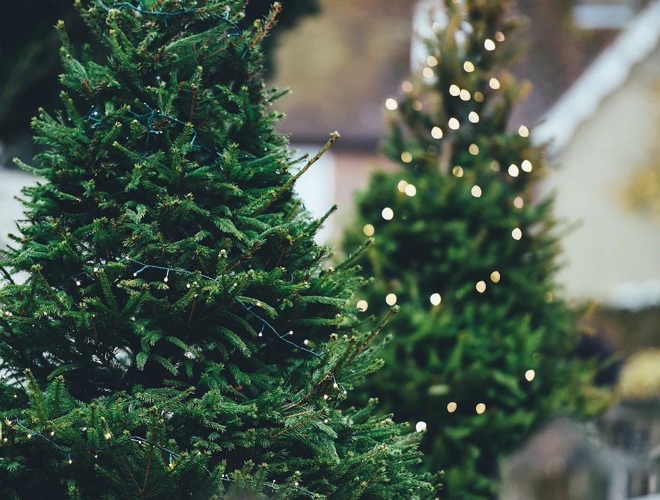 christmas in melbourne i things to do in melbourne at christmas in melbourne i things to do in melbourne at