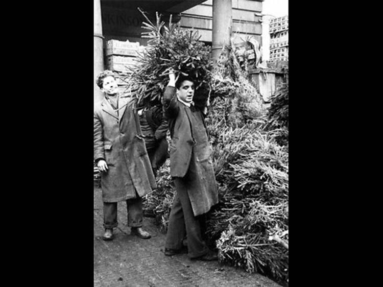 Christmas trees in Covent Garden Market, 1952