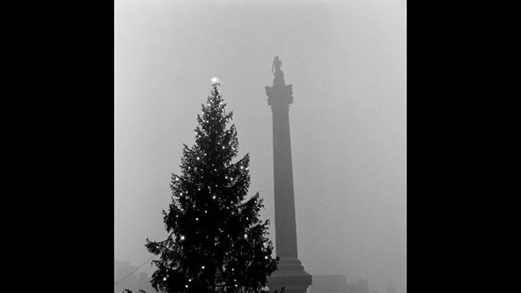 Trafalgar Square at Christmas, 1955