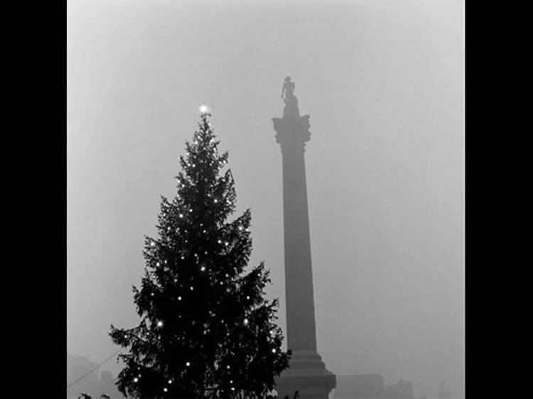 Trafalgar Square at Christmas, 1955