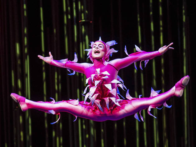 VAREKAI, cirque du soleil VAREKAI, cirque du soleil