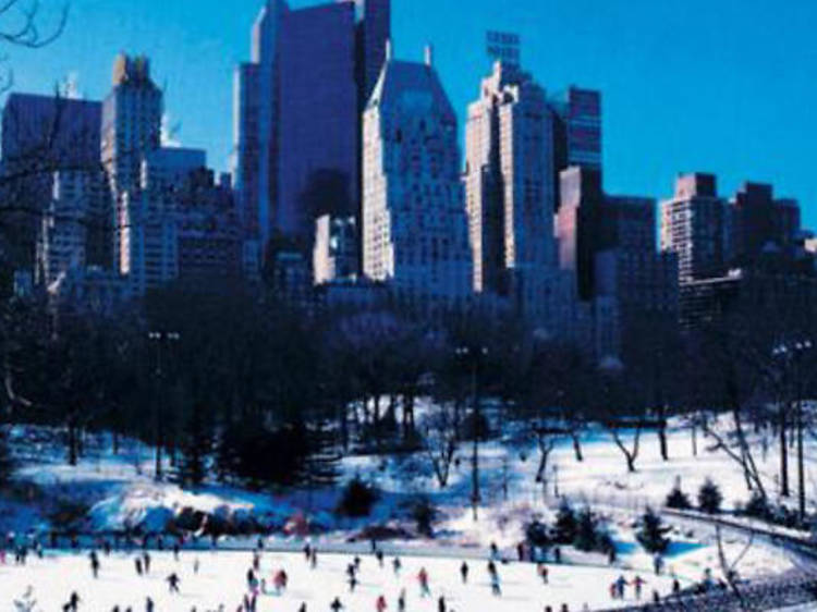 Go ice-skating at Wollman Rink or Lasker Rink 