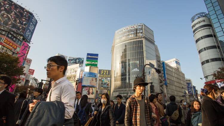 東京／41.2ポイント